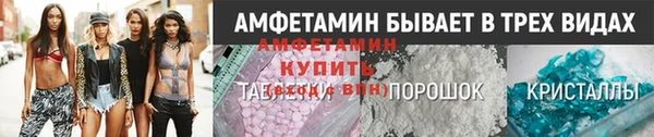гидра Абаза