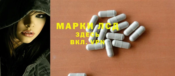 гидра Абаза