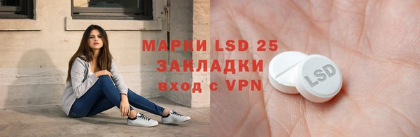 стаф Абинск