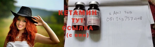 гидра Абаза