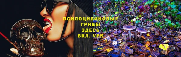 гидра Абаза