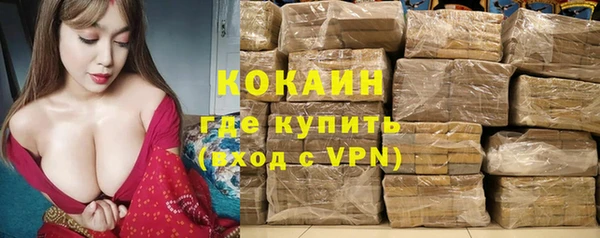 стаф Абинск
