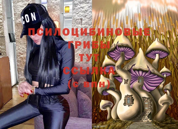 стаф Абинск