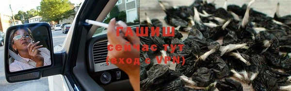 стаф Абинск