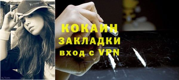 гидра Абаза