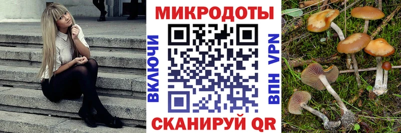 Галлюциногенные грибы Psilocybine cubensis Отрадный
